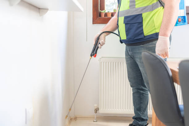 Best Flea Control Services  in Wrangell, AK